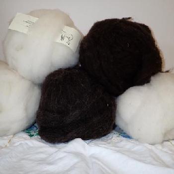 Shetland wool roving Image